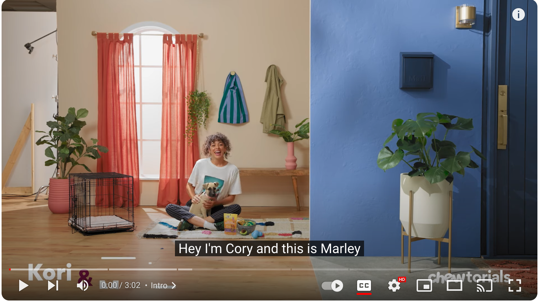 Screen Shot 2024-01-31 at 4.14.51 PM