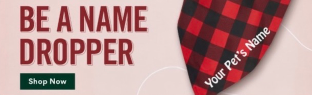 Screen Shot 2024-02-07 at 10.08.13 PM